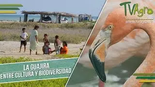 La Guajira: Entre Cultura y Biodiversidad - TvAgro por Juan Gonzalo Angel