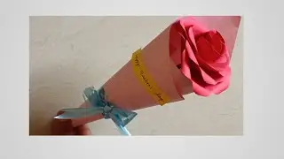 Single rose wrapping | Teachers day gift idea | rose wrapping 