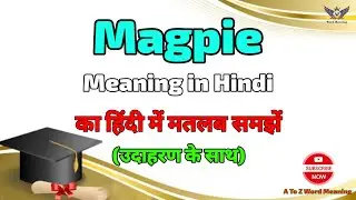 Magpie meaning in Hindi ? Magpie ka kya matlab hota hai ? A To Z Word Meaning