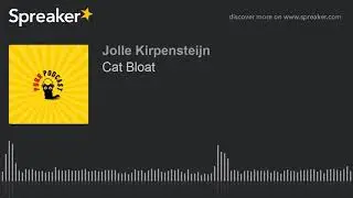 Cat Bloat