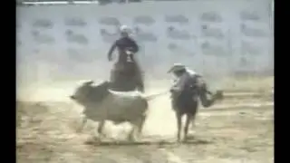 ARMANDO MARTINEZ - COLEADORES GUARIQUEÑOS