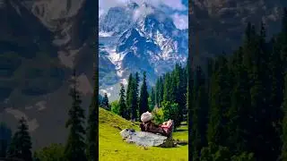 Unexplored Kashmir || Jk Tourism #shortsfeed #ytshorts #jktourism