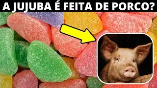 JUJUBA &Eacute; FEITO DE PORCO? Descubra do que ela &eacute; feita
