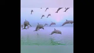 aesthetic seapunk
