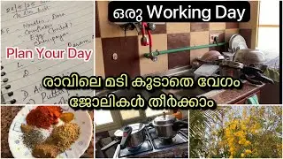 A Working Day in My Life/Easy Tiffin/ചിക്കൻ പെരട്ട്/ഓരോ ദിവസവും plan ചെയ്യാം