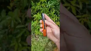 Kizer In-Yan Action