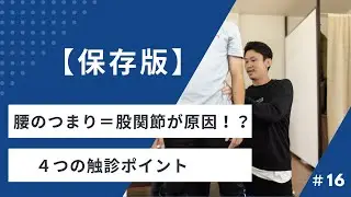【保存版】腰椎後屈痛の触診｜腰のつまりは股関節とのコンビネーション不良が原因？４つのチェックポイント