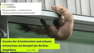 Erosion der Artenkenntnis und urbaner Artenschutz am Beispiel der Berliner Amphibien (04.11.2025)