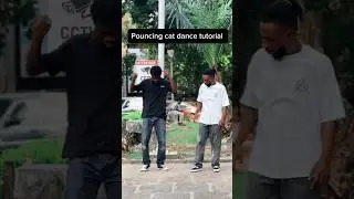Best pouncing cat dance tutorial 🕺🏽❤️🇿🇦 #short #dance #dance #holidayswithshorts #100shorts2024