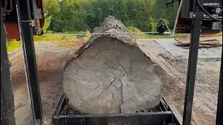 HUGE Maple Log Slab Making 