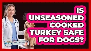Is Unseasoned Cooked Turkey Safe For Dogs?