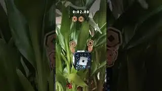#gameplay #funny #funnyvideo #halloween #horror #music #reelitfeelit #trendingshorts #books