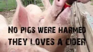 Orchard Pig Cider Marketing Campaign Video