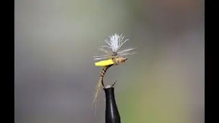 Dave's Para Foam PMD Emerger