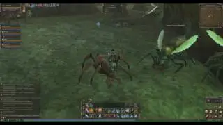 lineage 2 Classic WarLord exp 37-40 lvl