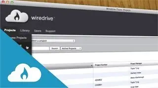 Wiredrive Overview - Projects
