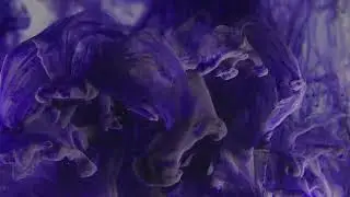 Darkstrand - Dusk feat. Dedications (Official Visualizer)