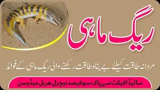 Raig Mahi Kay Fawaid | Sand Fish Uses Benefits | ریگ ماہی کے فوائد