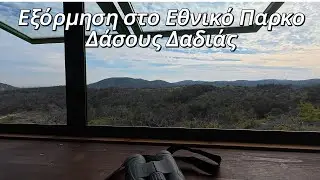 Γιορτη Μανιταριού στο Δάσος Δαδιάς / Κυριακάτικη Οικογενειακή Εξόρμηση στην Δαδιά /Kostas Simeonidis