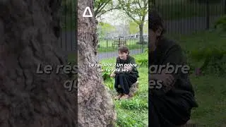 &Agrave; Dublin, un arbre bicentenaire commence &agrave; parler gr&acirc;ce &agrave; l'IA ! 🤯