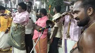 thiyakarajan kalakkal naiyandi melam kuruvenkottai kudai vizha