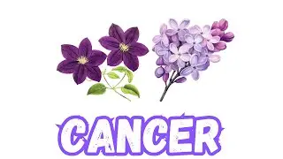 CANCER &eacute;motionnel💝 Un message d&rsquo;amour et d&rsquo;espoir&hellip; &agrave; ne surtout pas ignorer mes chers CANCER🥰