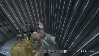 DayZ | DayZ#1.16# Predators PVE 1. на волков с каменным ножом))