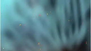 🔥 Happy Birthday Banner Background video download | Banner Video Hd #Background Free Download #2020