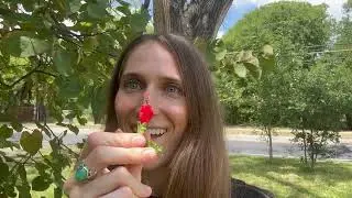 Episode 2: Two Simple Recipe's with Turks Cap & Eastern Black Nightshade