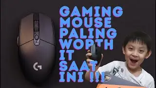 Gaming Mouse Paling Worth it 2020 !