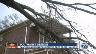 Canton landscapers remove tree from house