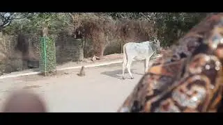 To agye aap aaj terik Hai 30/1/26