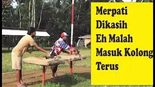 Burung Merpati Kalangan/Kolong - Worlds pigeon farm and race 🏁🦅