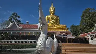 🙏🙏ปีใหม่ ให้รวย !! 1/1/69#ปู่ขาว-ย่าตะเคียน💥💥