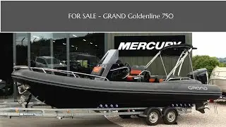 SOLD: Grand GoldenLine 750 - Evinrude 250HP High Output Outboard