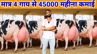 मात्र 4 गाय से 45000 महीना कमाई | small dairy farm business model 