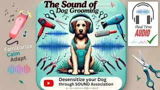 The sound of DOG GROOMING -DESENSITIZE your Dog Through SOUND Association