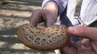 geosito secondaparte
