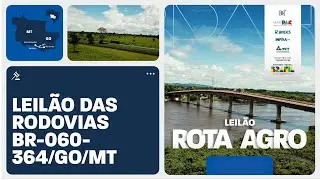 Leil&atilde;o das rodovias BR-060/364/GO/MT