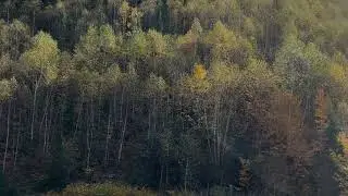 Agawa Canyon Tour Train | A Majestic Experience #fallseason #autumn #fall2025 