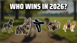 The Top 5 Best Mastiff Harness in 2026 - Must Watch Before Buying!