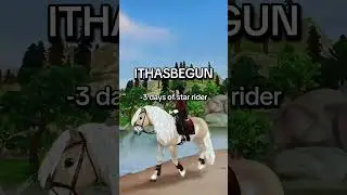 heb jij de codes al ingewisseld? #horse #equestrianjourney #sso #starstable #starstableonline #edit
