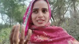 क्या मिला नई साल पर तोहफा