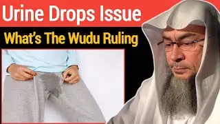 Urine Drops Issue | What's The Wudu Ruling In Islam | Mufti Asim Al Hakeem 