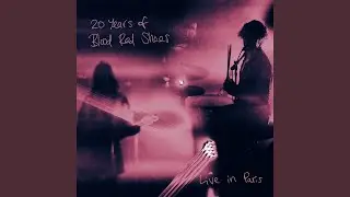 When We Wake (Live in Paris)