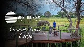 Ultimate Okavango Delta Safari: Wildlife & Activities at Gomoti River Lodge