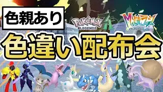 【ポケモンZA】色違いポケモン配布会！色オヤブンが当たるチャンス！ロトム/ミロカロス/セグレイブ/ソウブレイズ/グレンアルマ/ミミッキュ【Pokémon LEGENDS Z-A / M次元ラッシュ】