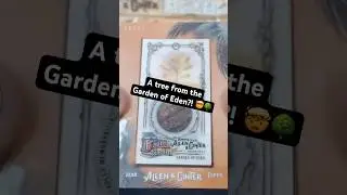 WHAT was in this ULTRA THICK pack?!? 🤯🔥 She pulled a Garden of Eden relic!? 😆