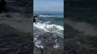 i&rsquo;ll be inactive until friday! (ib: 50datab) #edit #ocean #maine #nature #therian #furry #otherkin