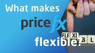 What makes Pricefx FLEXIBLE?